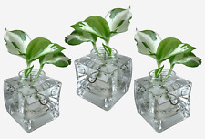 3 Large Square Wedding Table Clear Glass Centrepieces / Jars / Vases