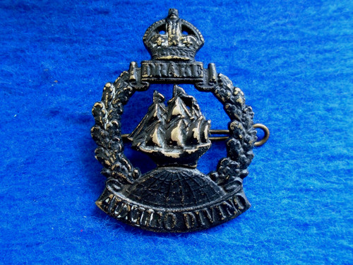 Royal naval division drake - royal, 'drake'
