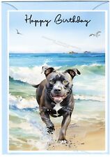 Staffordshire Bull Terrier Dog