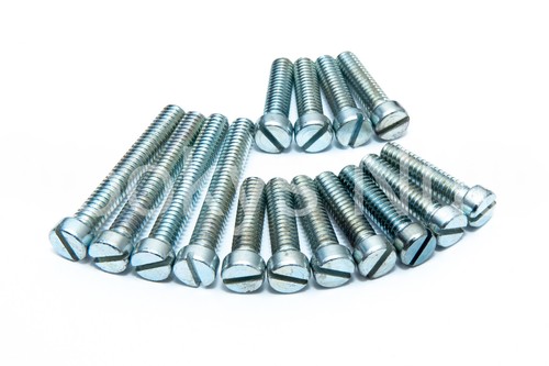 Triumph primary cover - triumph,