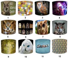 Handmade Owl Birds Of Prey Ceiling Lampshade Table Lamp shade Pendant Lampshades