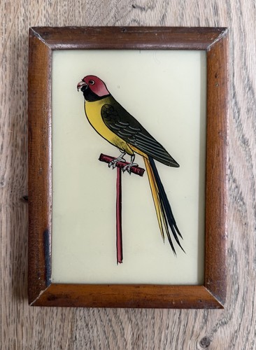 Parrot indian vintage reverse - indian,