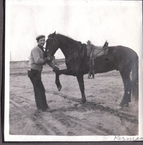 Vintage photograph men horse - vintage,