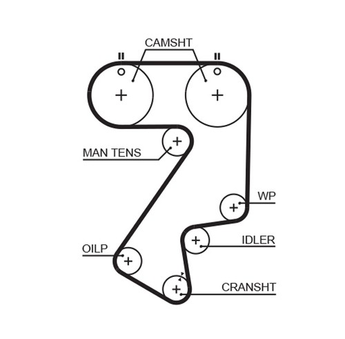 5404xs gates timing - belt, for