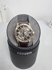 Citizen Eco-Drive Perpetual