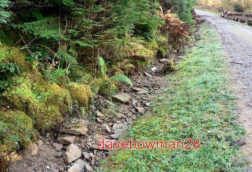 Photo drainage gully - gully, on