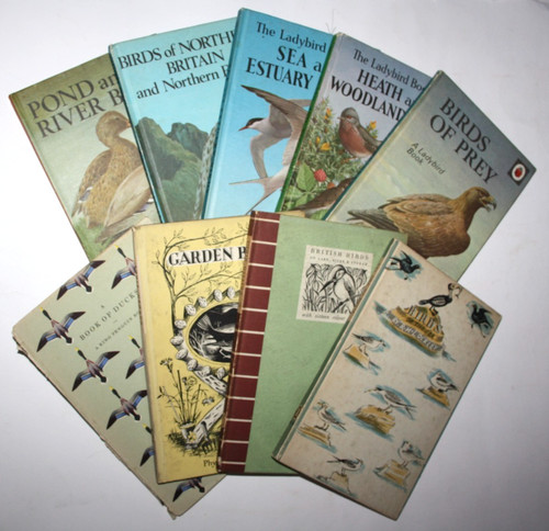 Lot king penguin ladybird - x,