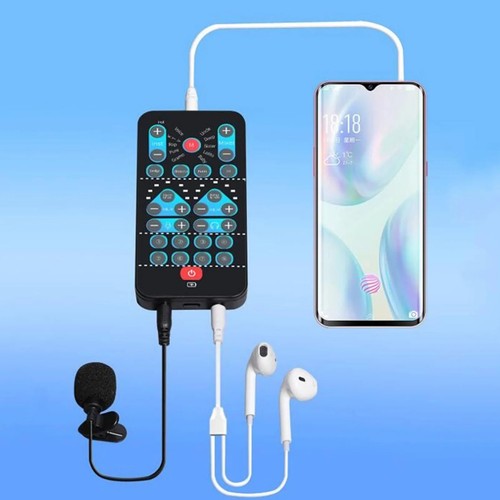 Portable handheld voice - portable,
