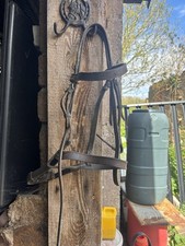 Brown Leather Bridle (no Reins