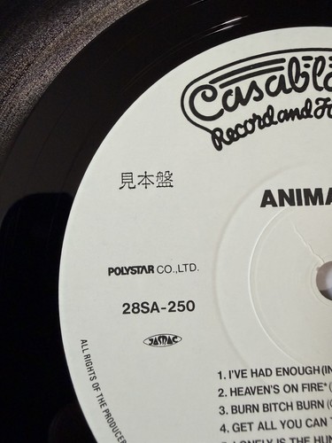 Kiss animalize japan white - animalize,