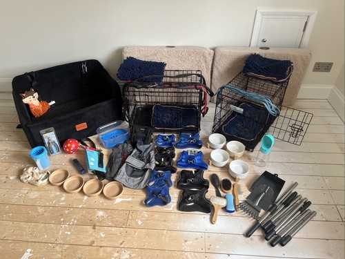 Job lot dog items see - see, pictures