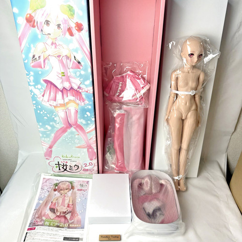 Volks sakura miku - dd, ver.2.0
