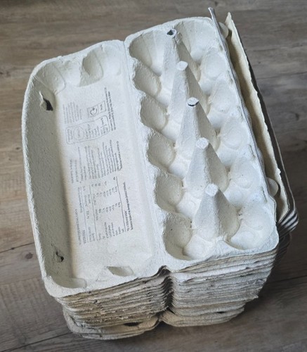 Empty cardboard egg - empty,