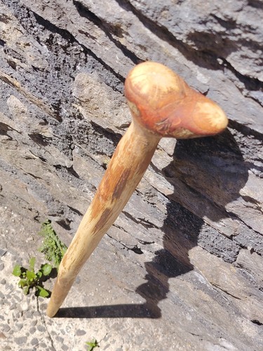 White oak shillelagh fine - fine, wood