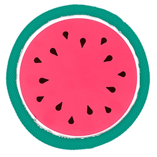 Fruit flyer dog - flyer, toy