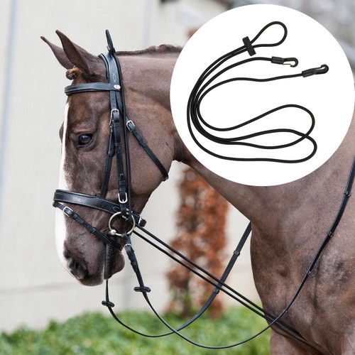 Horse auxiliary reins - horse,