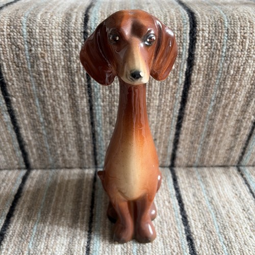 1960s jema holland - holland, dachshund