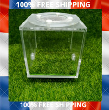 Handmade Acrylic Square Ant