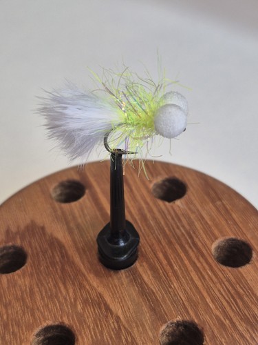 Cats whiskers fluro - cats,