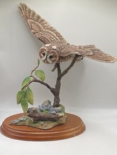 Border Fine Arts Tawny Owl, Russell Willis A4054 -Birds