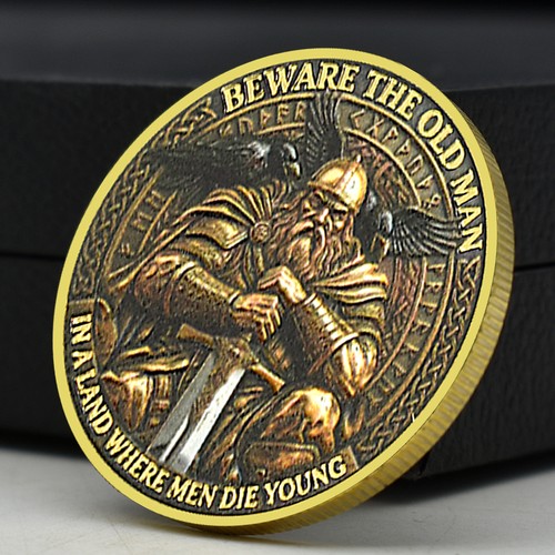 Viking warrior commemorative - viking,