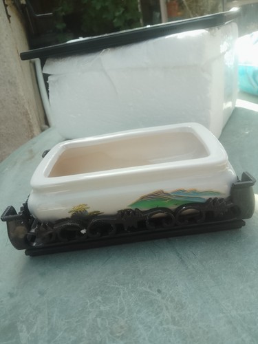 Selling this bonsai - , pot