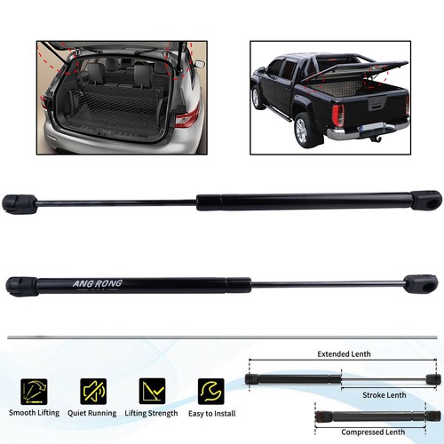 Rear tailgate gas struts - 2,