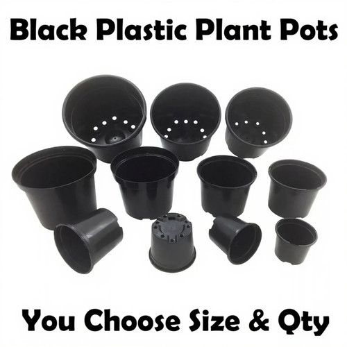 Black plastic plant - plant, pots