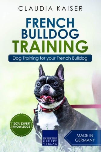 French bulldog training dog - bulldog,