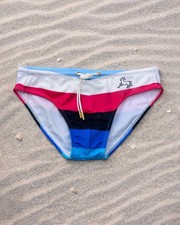 Chevron Swim Briefs