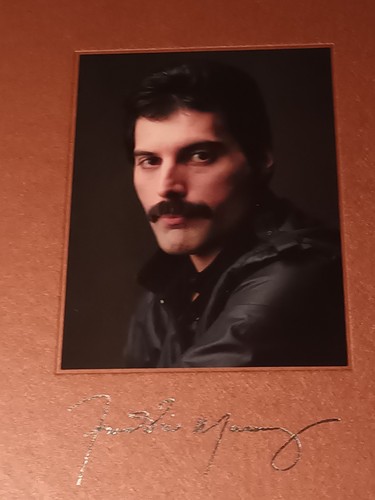 Freddie mercury the solo - freddie,