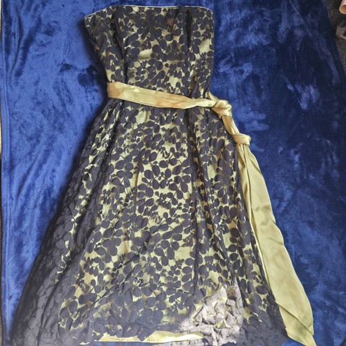 Debenhams debut black lace - debut,