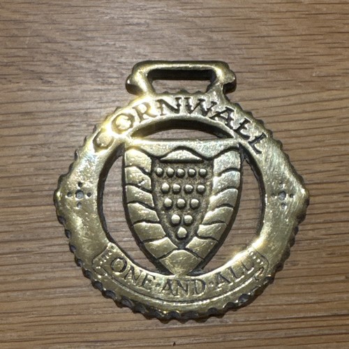 Vintage horse brass medallion - brass,
