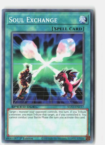 Soul exchange 1st edition - soul,