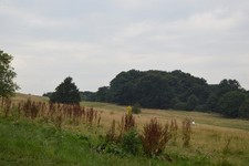 Photo 6x4 Parliament Hill Hampstead/TQ2685  c2016