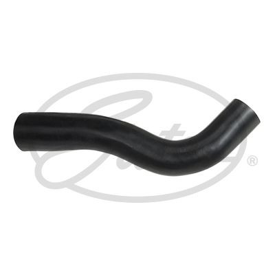 Radiator hose for volkswagen - radiator,