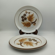 2 Denby Cotswold Dinner Plate