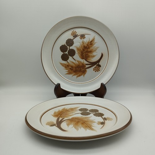 Denby cotswold dinner plate - 2,