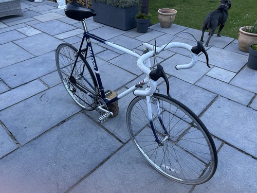 Raleigh winner vintage - vintage, road