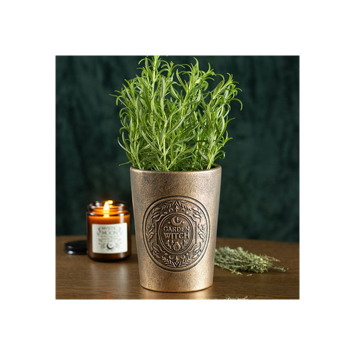 Garden witch bronze - garden,