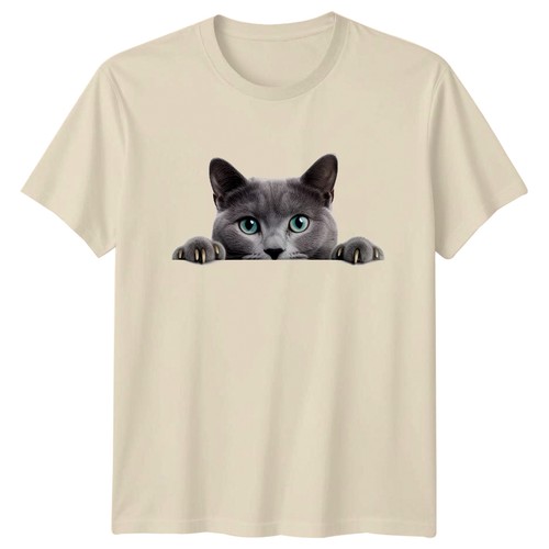 Peeking gray cat - peeking,