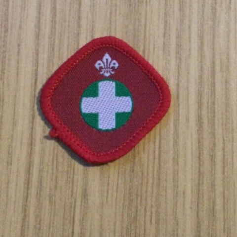 Boy scout proficiency - scout,