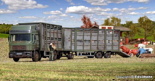 Cattle truck with - , and