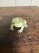 Porcelain Aynsley Mr Frog