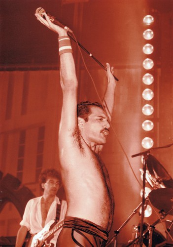 Freddie mercury photo 1984 - freddie,