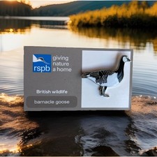 RSPB-Pin Badge GNAH  BARNACLE GOOSE  (*Medium Font )    Tick On Reverse