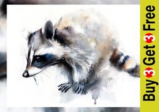 Curious Woodland Raccoon 5"x7"