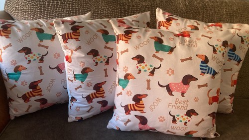 Brand new dachshund - brand,