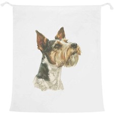 'Wire Fox Terrier Portrait'