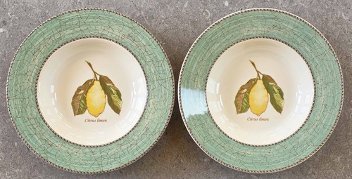 Sarah garden wedgwood soup - sarah's,
